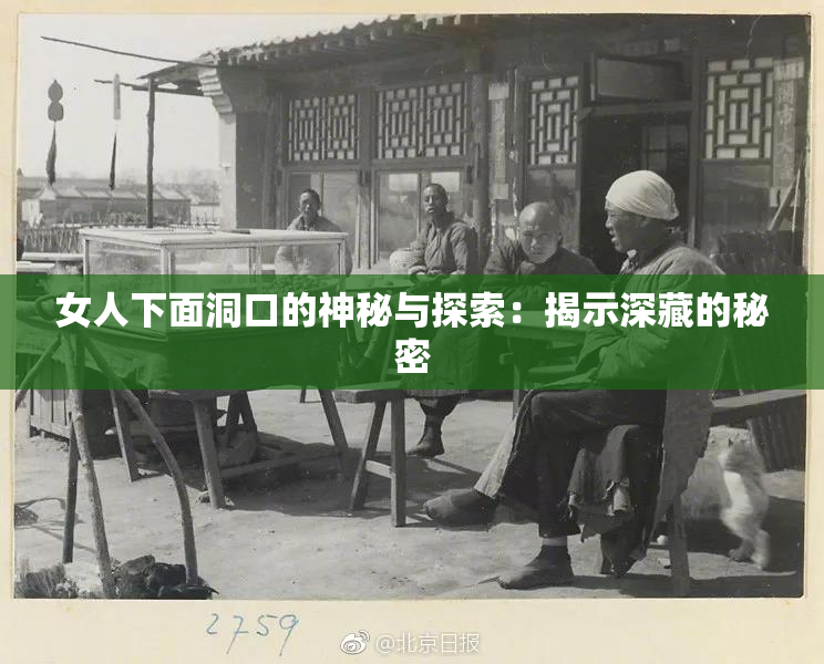 女人下面洞口的神秘与探索：揭示深藏的秘密