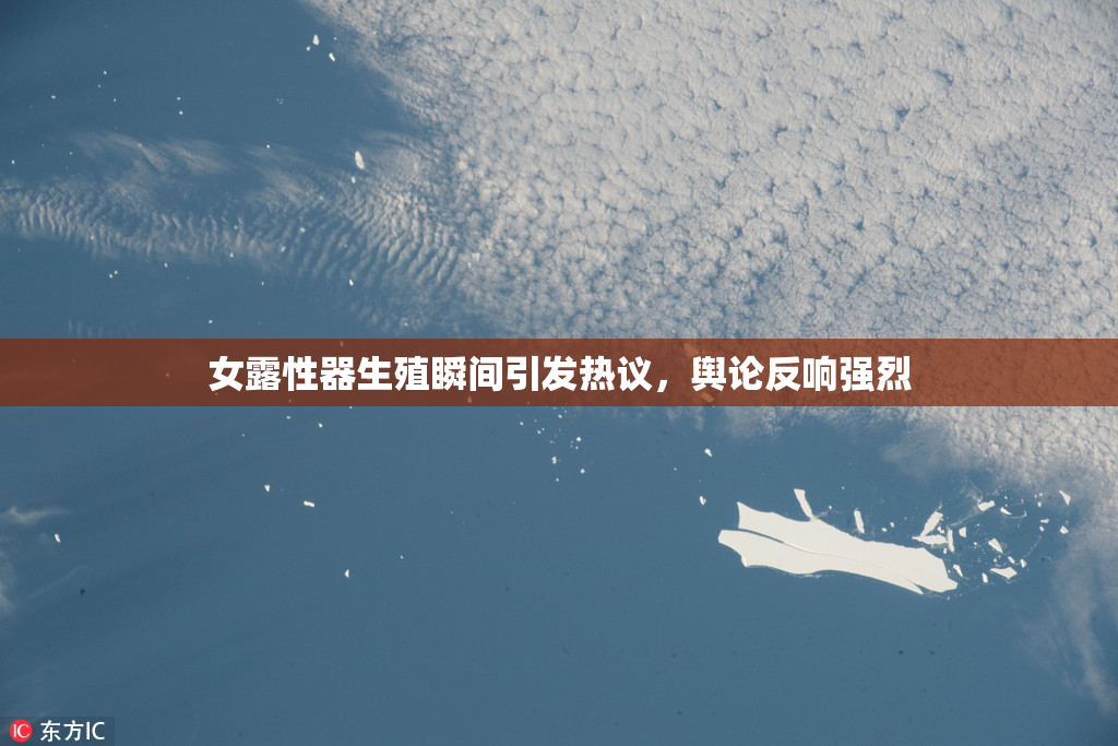 女露性器生殖瞬间引发热议，舆论反响强烈