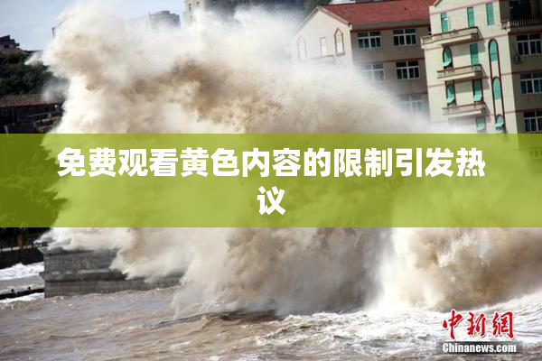 免费观看黄色内容的限制引发热议
