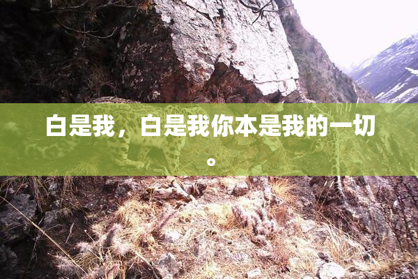 白是我，白是我你本是我的一切。