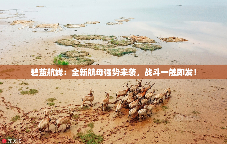 碧蓝航线：全新航母强势来袭，战斗一触即发！