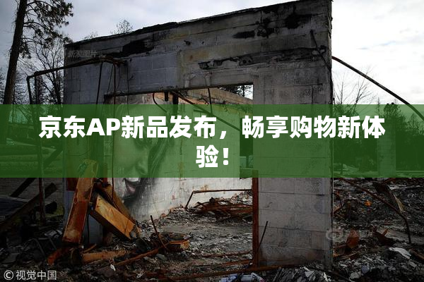 京东AP新品发布，畅享购物新体验！