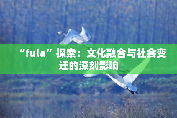 “fula”探索：文化融合与社会变迁的深刻影响