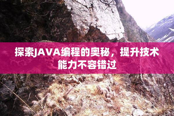 探索JAVA编程的奥秘，提升技术能力不容错过