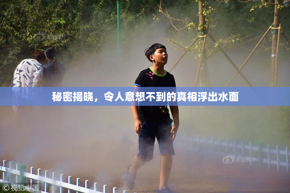 秘密揭晓，令人意想不到的真相浮出水面