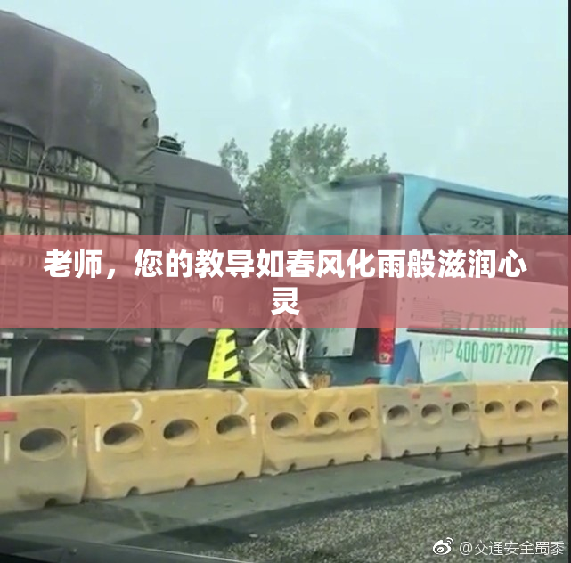 老师，您的教导如春风化雨般滋润心灵