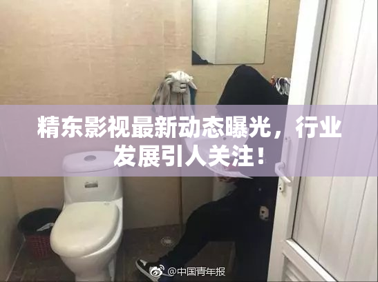 精东影视最新动态曝光，行业发展引人关注！