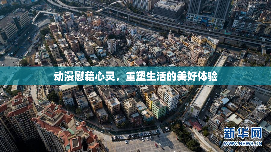 动漫慰藉心灵，重塑生活的美好体验