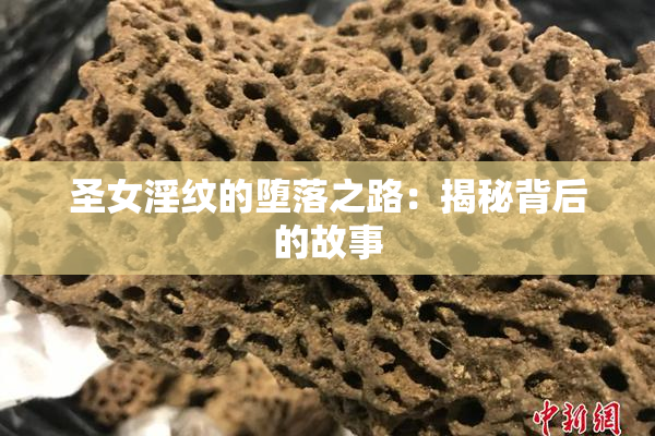 圣女淫纹的堕落之路：揭秘背后的故事