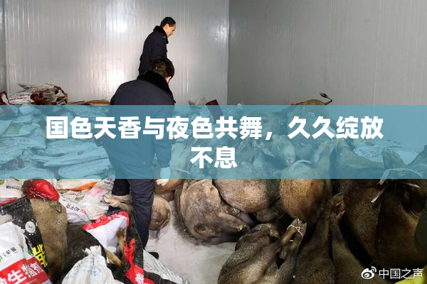 国色天香与夜色共舞，久久绽放不息