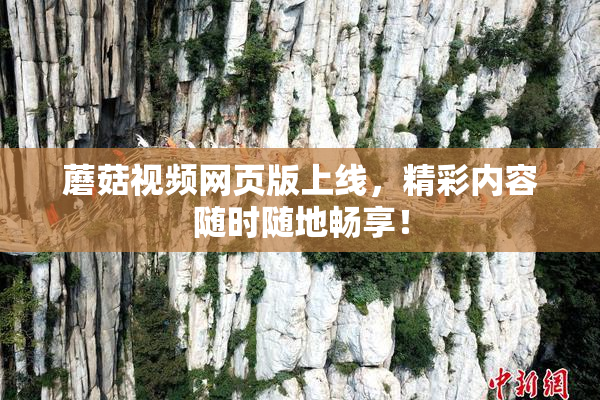 蘑菇视频网页版上线，精彩内容随时随地畅享！