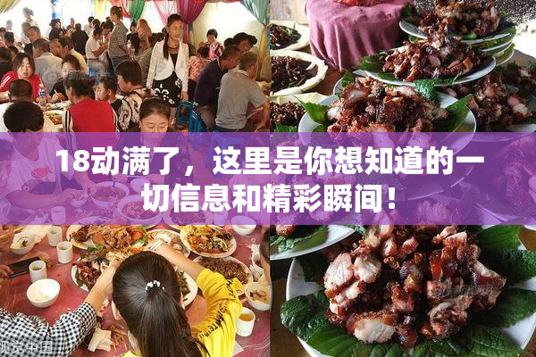 18动满了，这里是你想知道的一切信息和精彩瞬间！