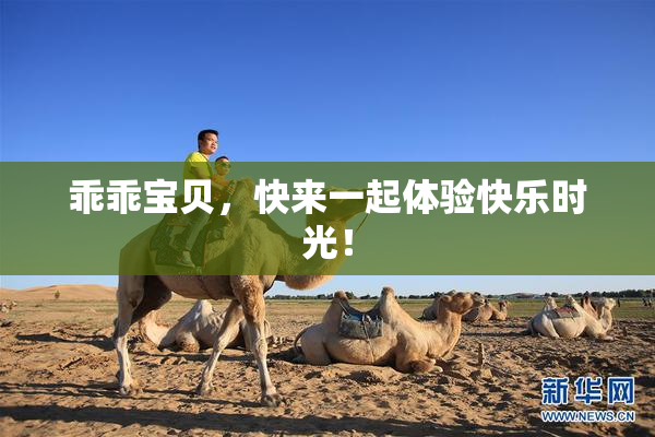乖乖宝贝，快来一起体验快乐时光！