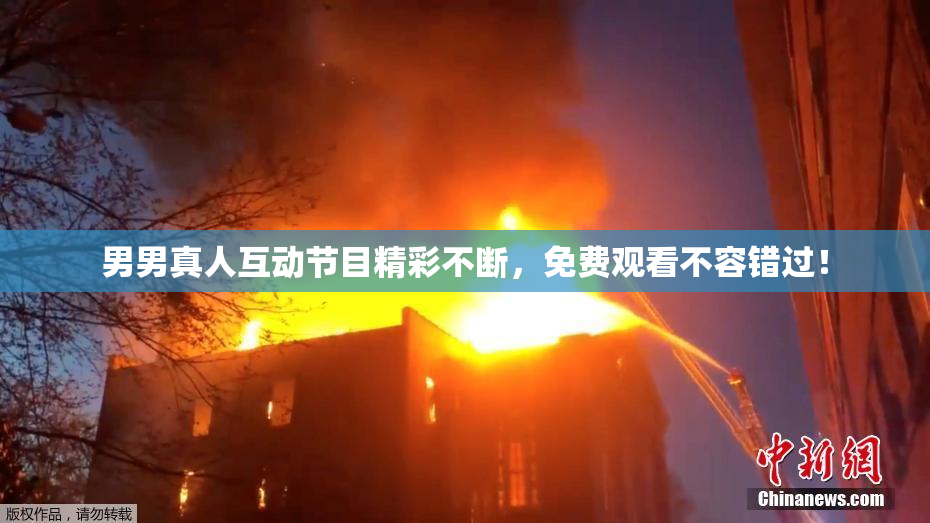 男男真人互动节目精彩不断，免费观看不容错过！