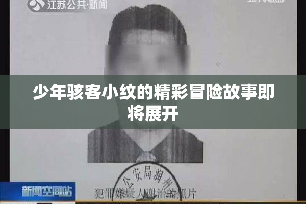 少年骇客小纹的精彩冒险故事即将展开