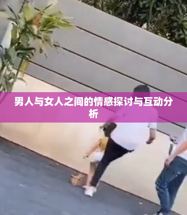 男人与女人之间的情感探讨与互动分析