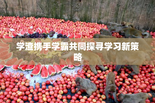 学渣携手学霸共同探寻学习新策略