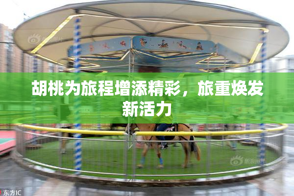 胡桃为旅程增添精彩，旅重焕发新活力