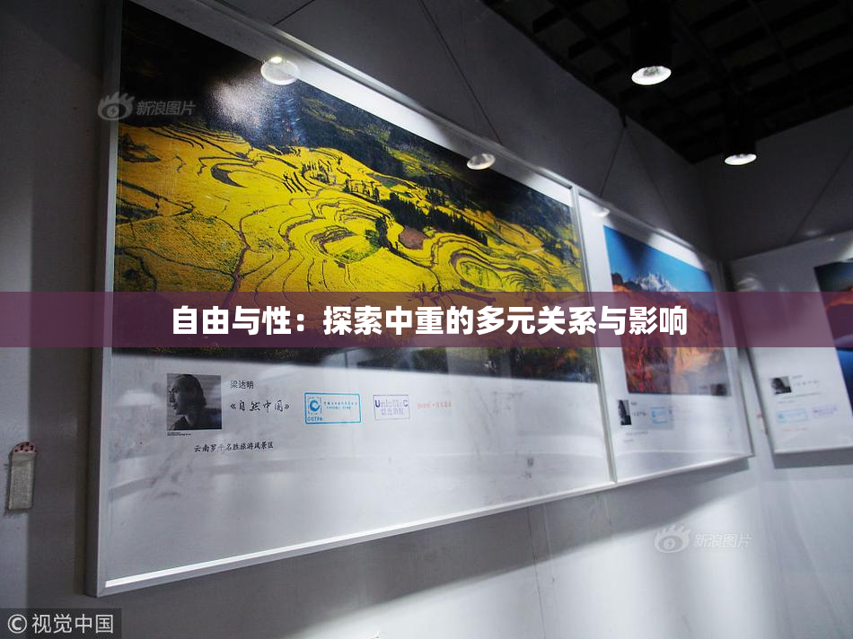 自由与性：探索中重的多元关系与影响