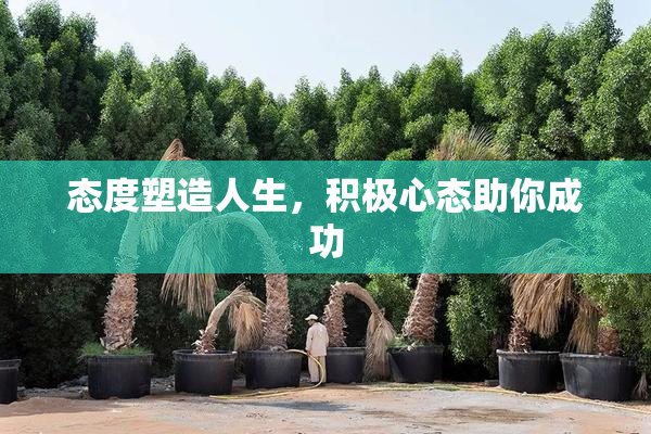 态度塑造人生，积极心态助你成功