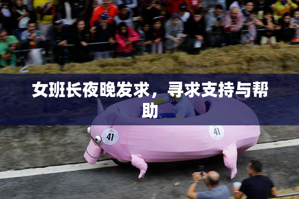 女班长夜晚发求，寻求支持与帮助
