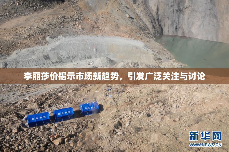 李丽莎价揭示市场新趋势，引发广泛关注与讨论