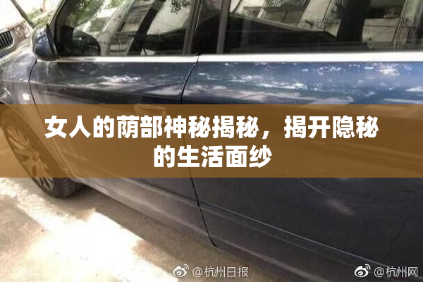 女人的荫部神秘揭秘，揭开隐秘的生活面纱