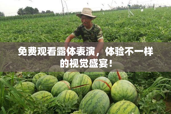 免费观看露体表演，体验不一样的视觉盛宴！