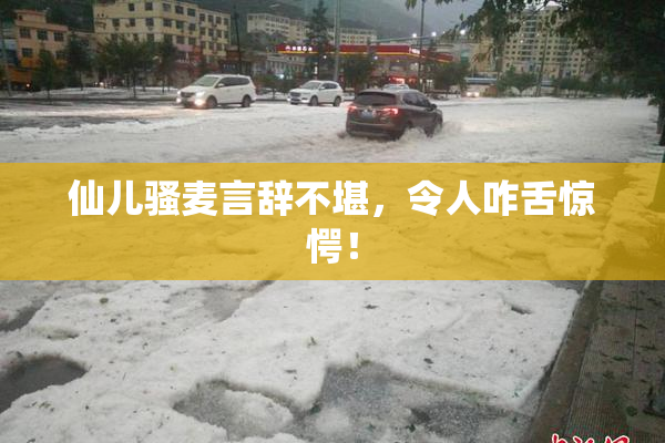 仙儿骚麦言辞不堪，令人咋舌惊愕！
