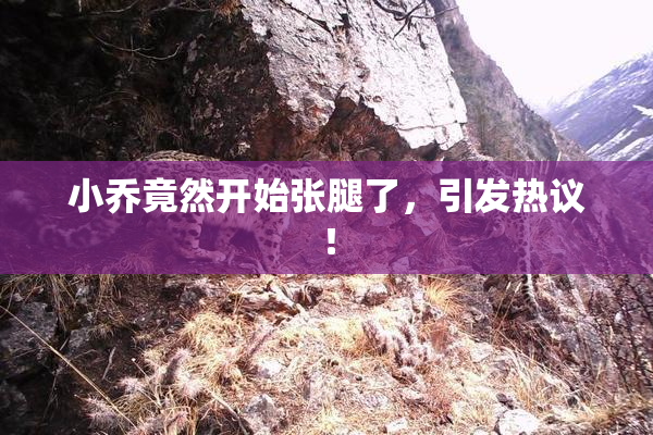 小乔竟然开始张腿了，引发热议！