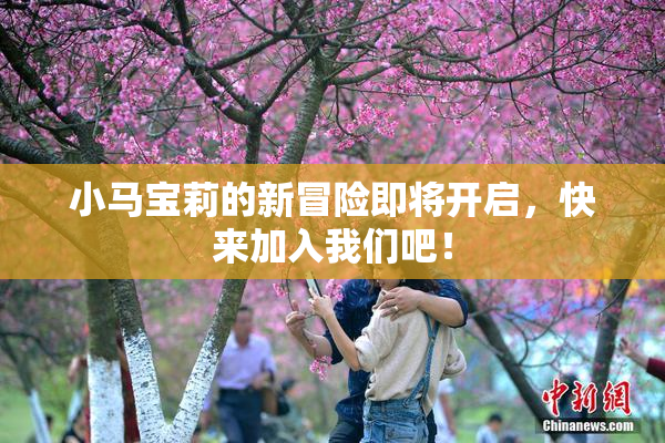 小马宝莉的新冒险即将开启，快来加入我们吧！