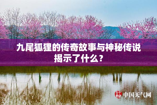 九尾狐狸的传奇故事与神秘传说揭示了什么？