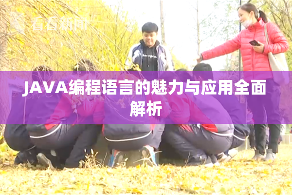 JAVA编程语言的魅力与应用全面解析