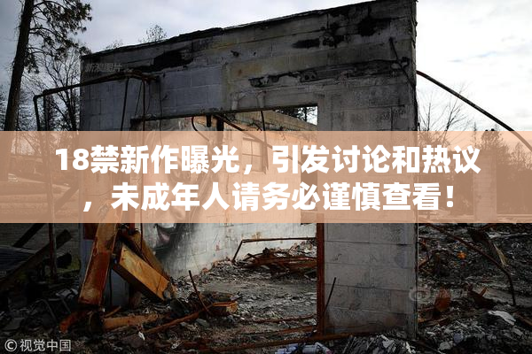 18禁新作曝光，引发讨论和热议，未成年人请务必谨慎查看！