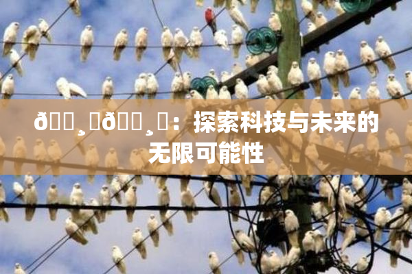 🌸‌🌸‌：探索科技与未来的无限可能性