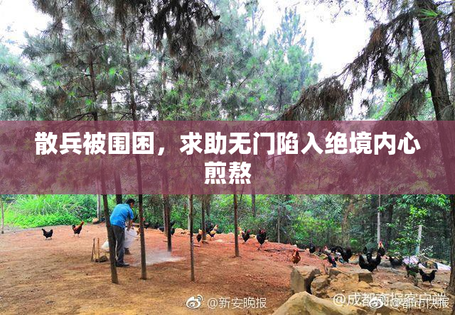 散兵被围困，求助无门陷入绝境内心煎熬