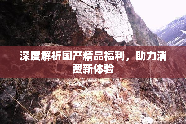 深度解析国产精品福利，助力消费新体验