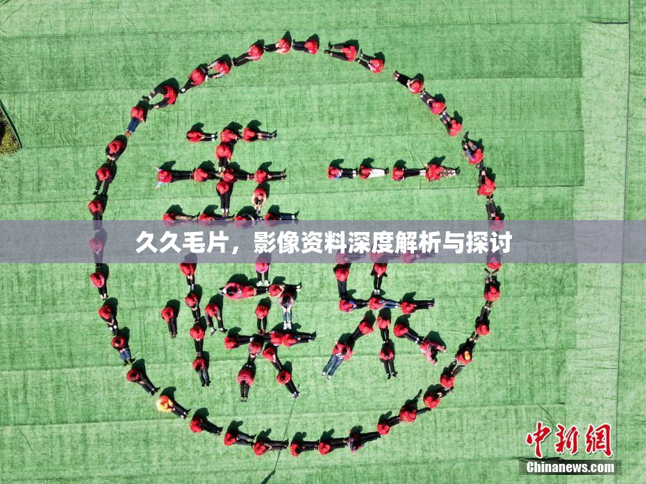 久久毛片，影像资料深度解析与探讨