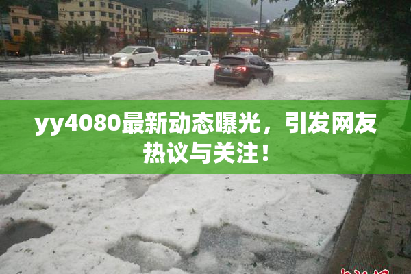 yy4080最新动态曝光，引发网友热议与关注！