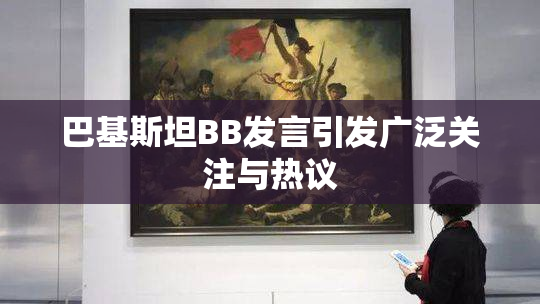巴基斯坦BB发言引发广泛关注与热议