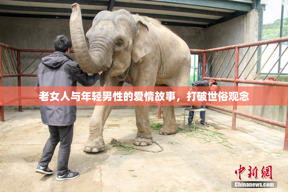 老女人与年轻男性的爱情故事，打破世俗观念