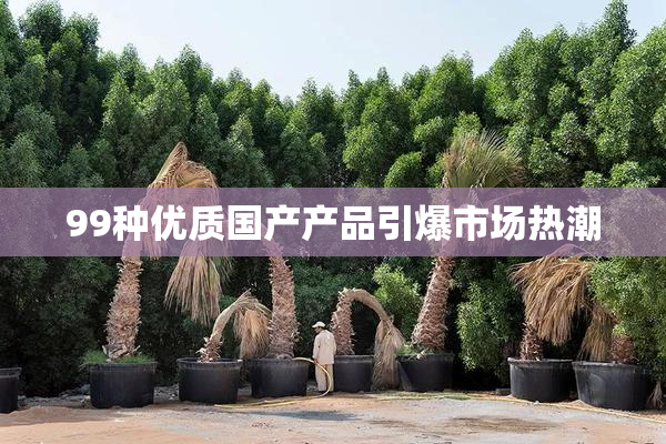 99种优质国产产品引爆市场热潮