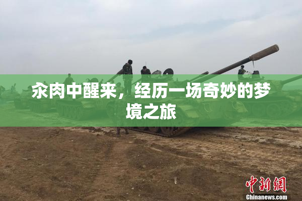 汆肉中醒来，经历一场奇妙的梦境之旅