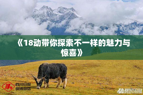 《18动带你探索不一样的魅力与惊喜》
