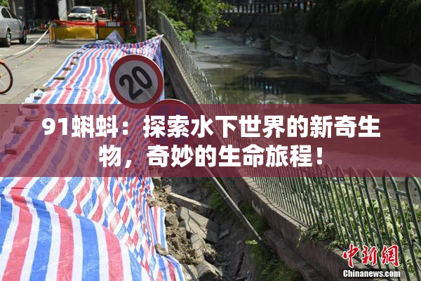 91蝌蚪：探索水下世界的新奇生物，奇妙的生命旅程！
