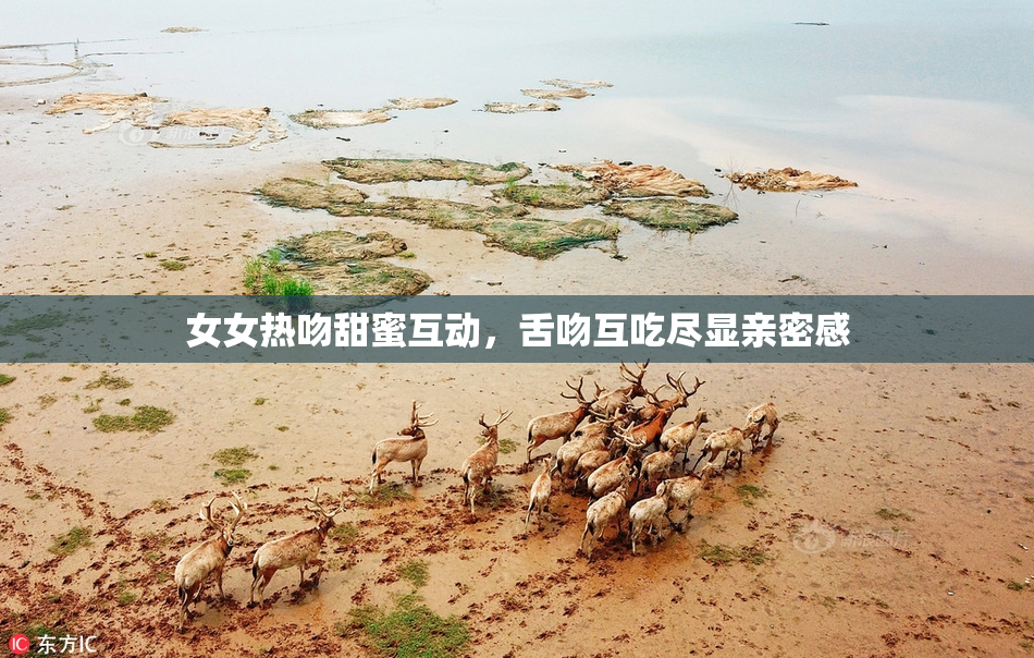 女女热吻甜蜜互动，舌吻互吃尽显亲密感