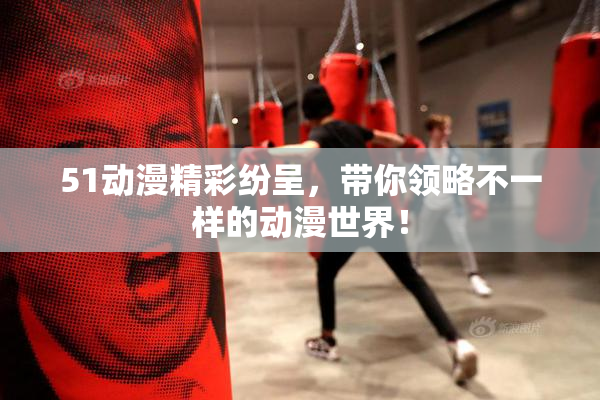 51动漫精彩纷呈，带你领略不一样的动漫世界！