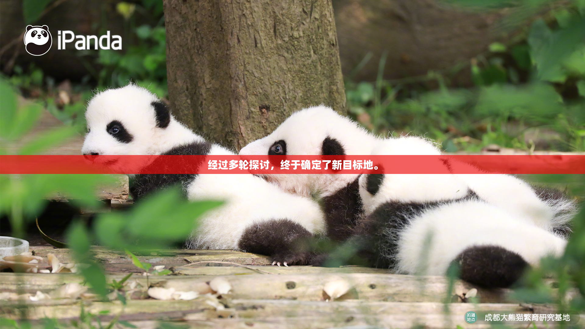 经过多轮探讨，终于确定了新目标地。