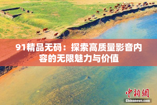 91精品无码：探索高质量影音内容的无限魅力与价值