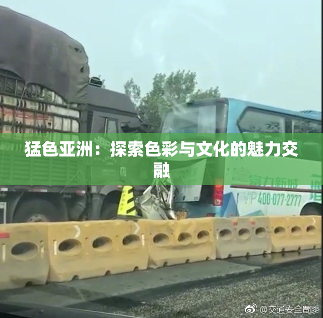 猛色亚洲：探索色彩与文化的魅力交融